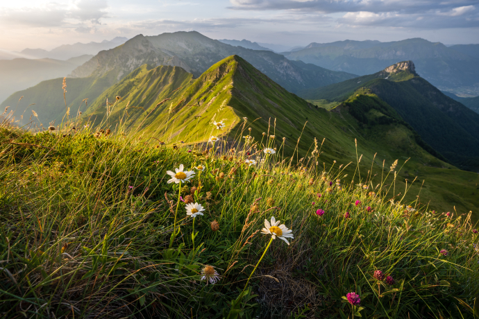 Blooming ridge