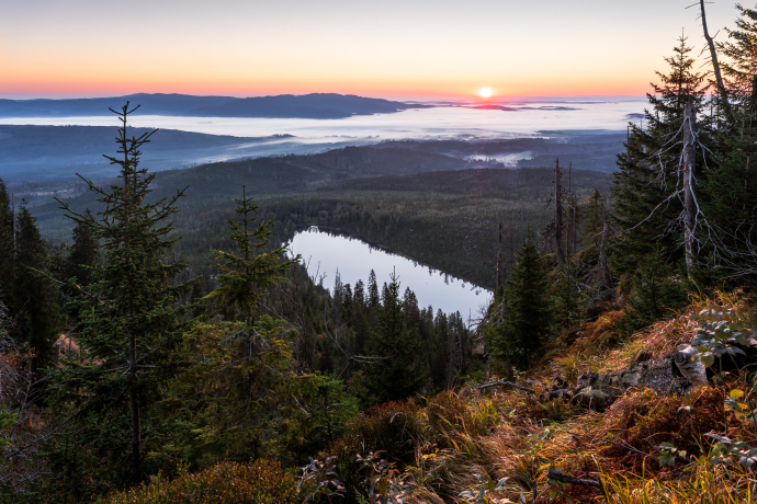 Plešné jezero