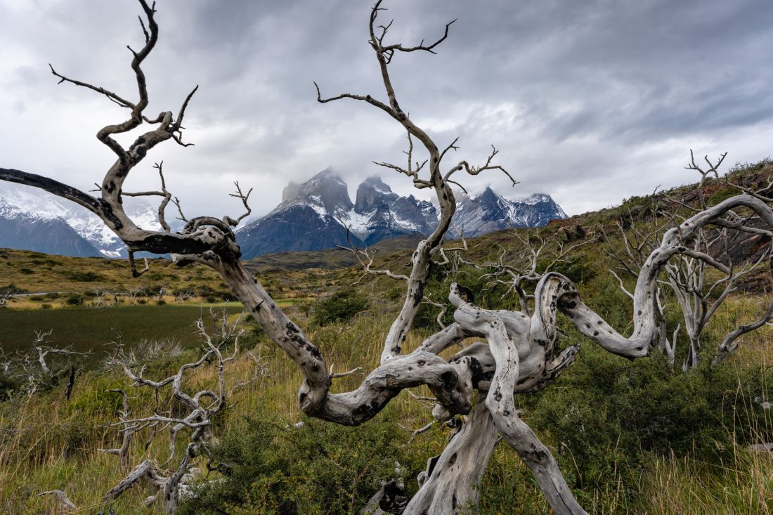 Cuernos Principal.